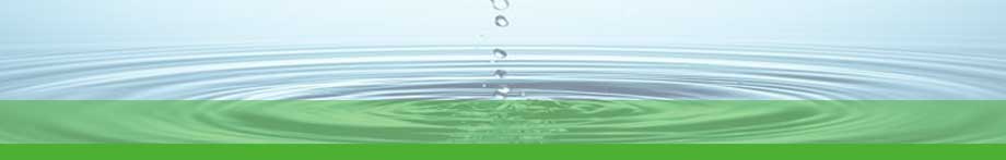 The Best Translation and Localization Service Provider in Viet Nam – English into Vietnamese/Burmese/Lao/Khmer/Hmong, etc… Rotating Header Image